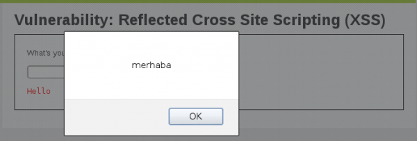 dvwa_refl_xss_1-1