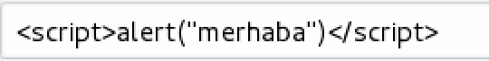 dvwa_refl_xss_1-3
